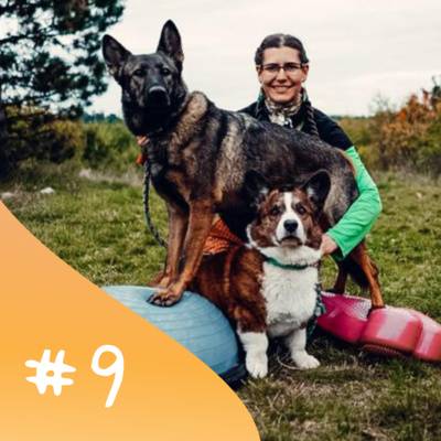 Neštěkej na svého psa