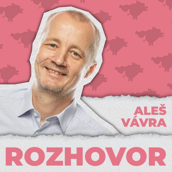 Rozbité prasátko