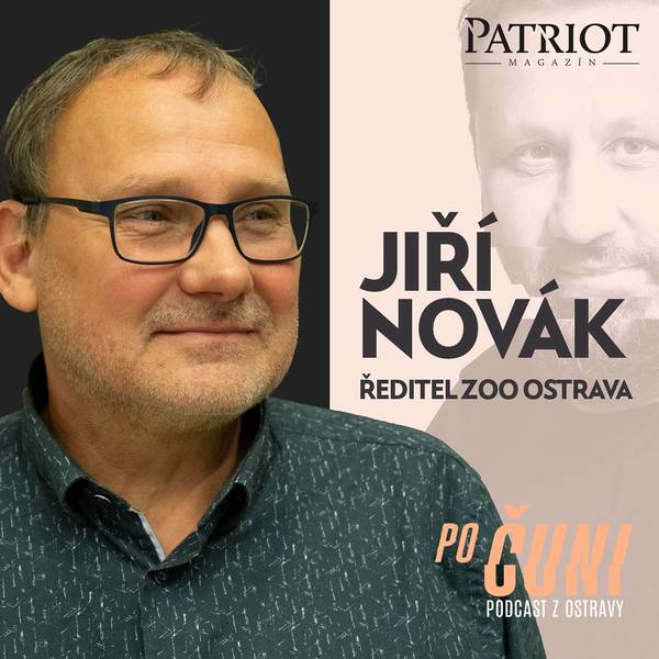 Po čuni
