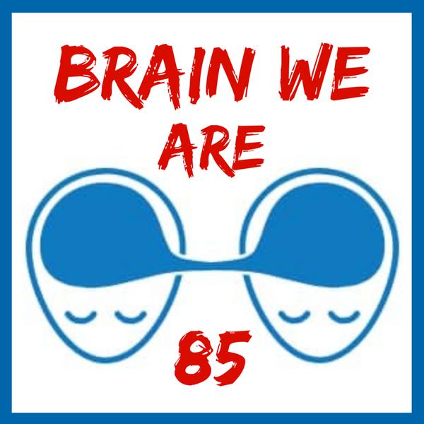 Brain We Are CZ