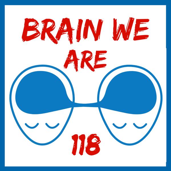 Brain We Are CZ