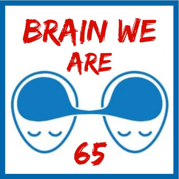 Brain We Are CZ