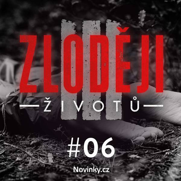 Zloději životů