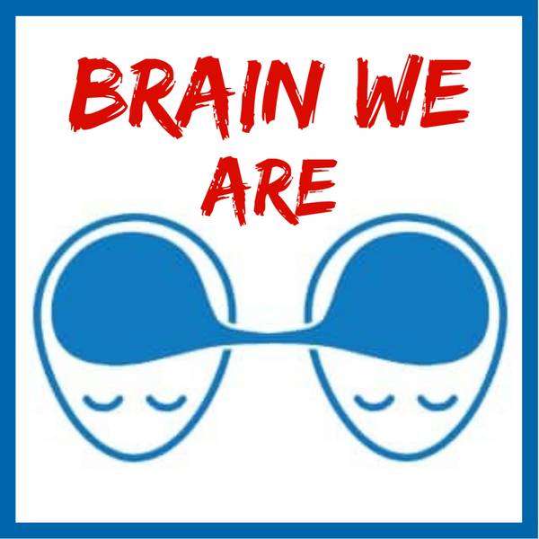 Brain We Are CZ