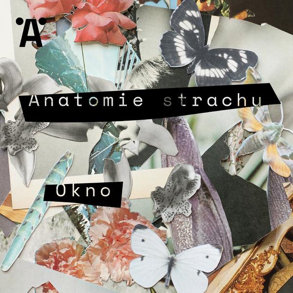 Anatomie strachu