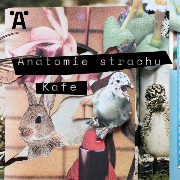 Anatomie strachu