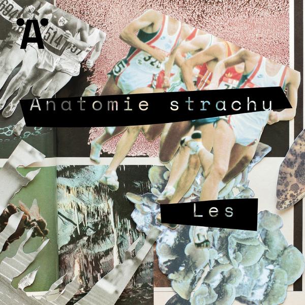 Anatomie strachu
