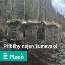 Mrtvý luh - největší rašeliniště v Čechách. Je plné vody, rostlin a živočichů
