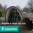Velká jako králík, ale pořád myš. Velemyš patří k nejpodivuhodnějším hlodavcům světa