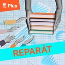 Jak využít know-how ředitelů škol, když skončí ve funkci?