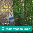 Vodní elektrárna Štěchovice funguje na Vltavě už přes osmdesát let. Vydat se můžete i na prohlídku
