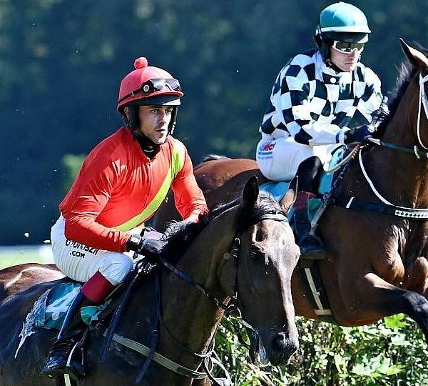 EquiRadio.cz