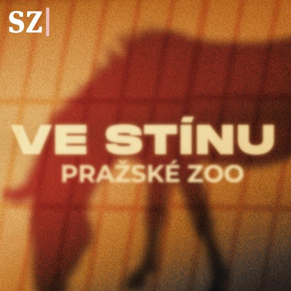 Ve stínu