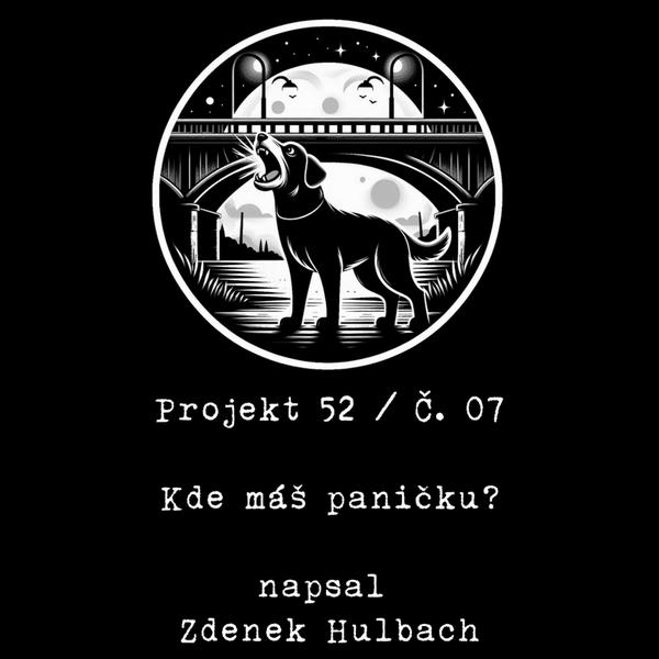 Projekt 52