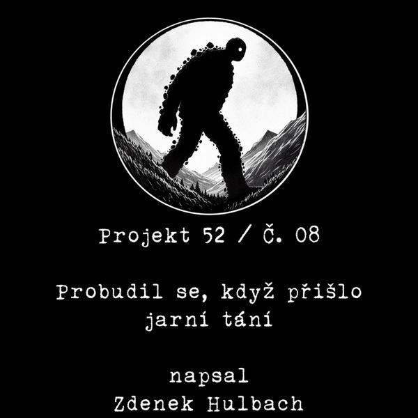 Projekt 52