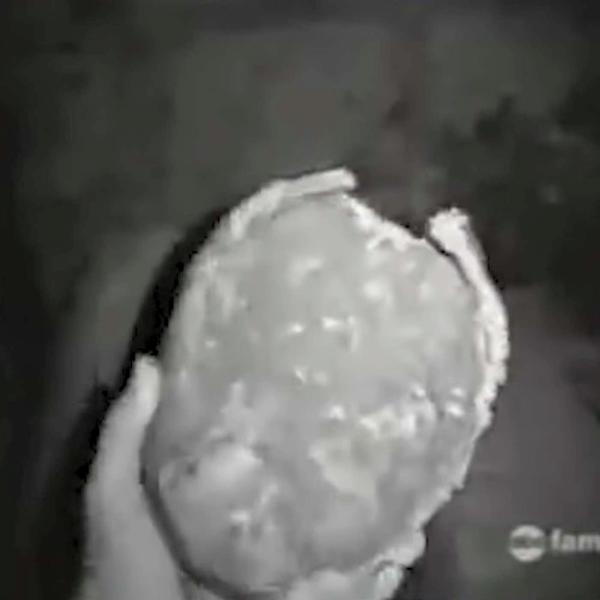Noční Můry