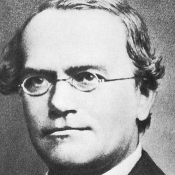 Ozvěny minulosti