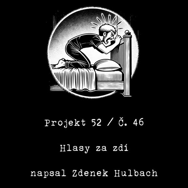 Projekt 52