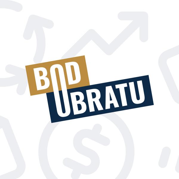 Bod Obratu