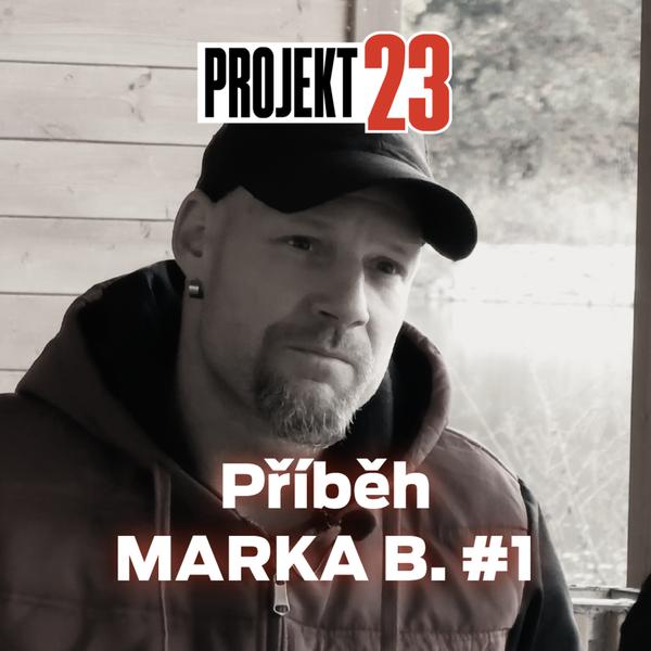 PROJEKT 23