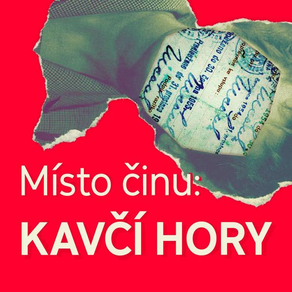 Zrnění