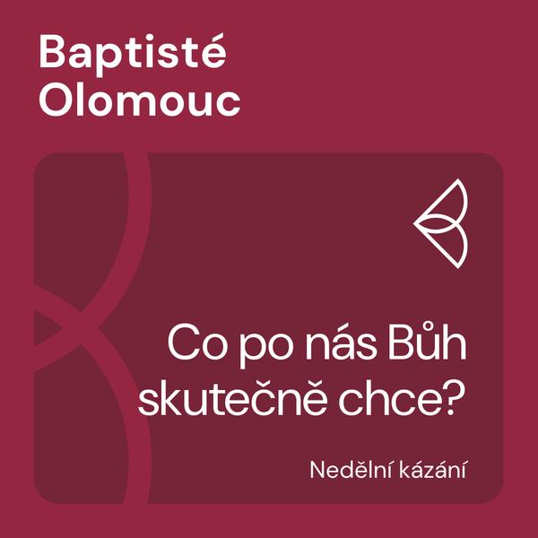 Nedělní kázání