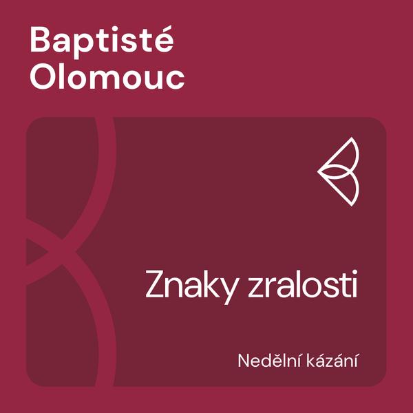 Nedělní kázání