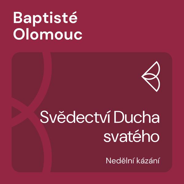 Nedělní kázání