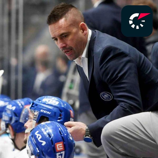 Livesport Zprávy