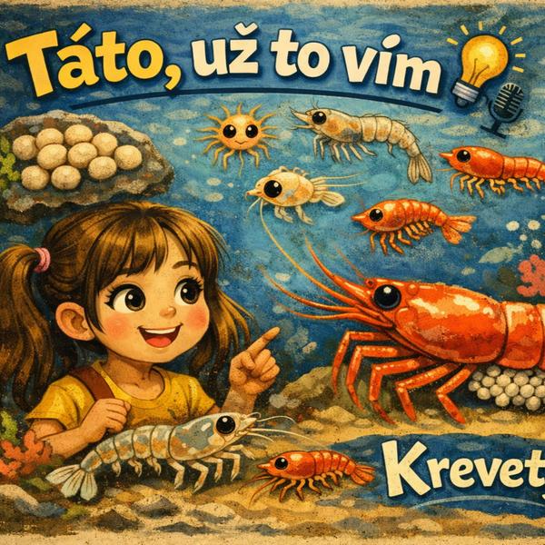 Táto, už to vím!