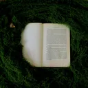 Stmívání | První pohled