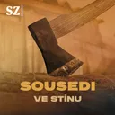 Muž se sekerou se přiznal. Přesto platil nevinný