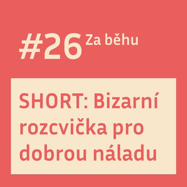 Za běhu