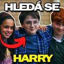Hledá se Harry - Rozbor a reakce na dokument