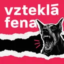 Írán: Představa, že někdo bude dělat revoluci uprostřed války, je lichá – Pavel „Pawluscha“ Novotný