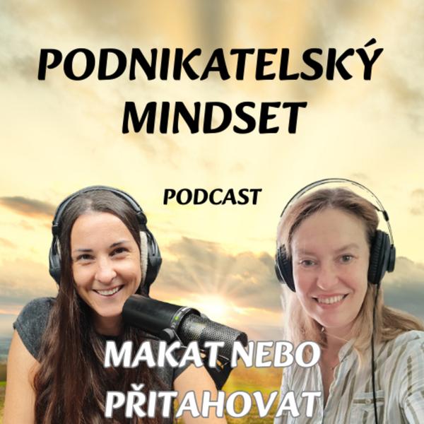 Podnikatelský mindset