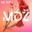 MDŽ: Sexuální násilí v bezvědomí. Případ Pelicot je jen špičkou ledovce