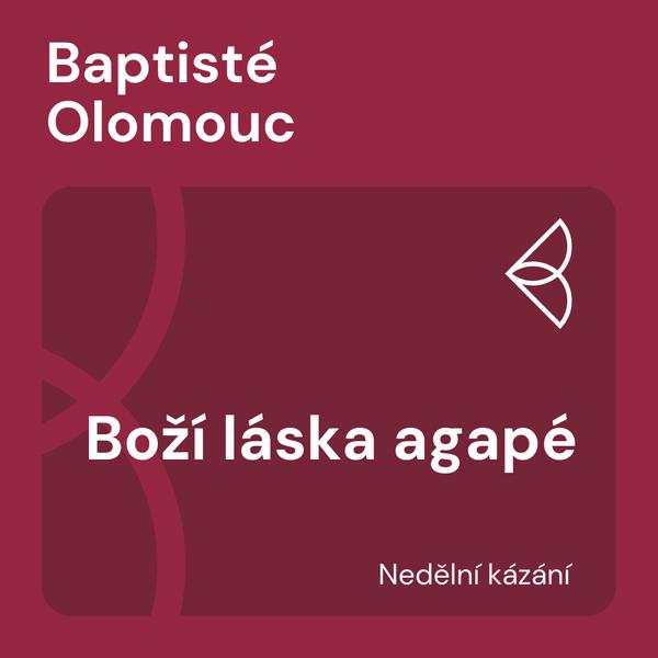 Nedělní kázání