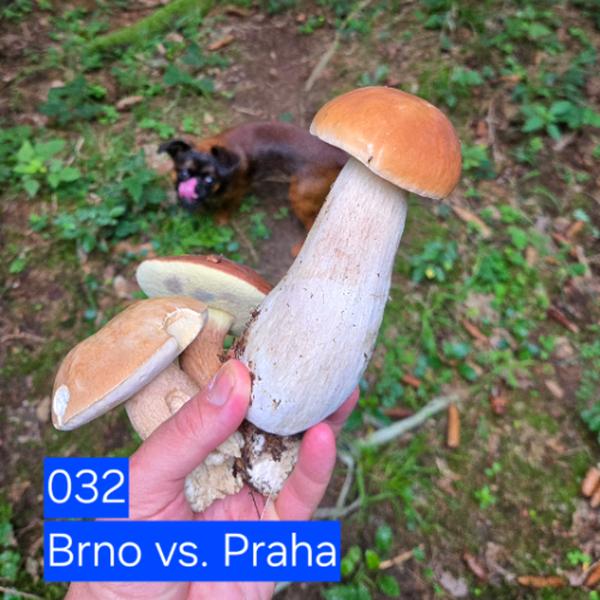 Gastromapa Lukáše Hejlíka 111