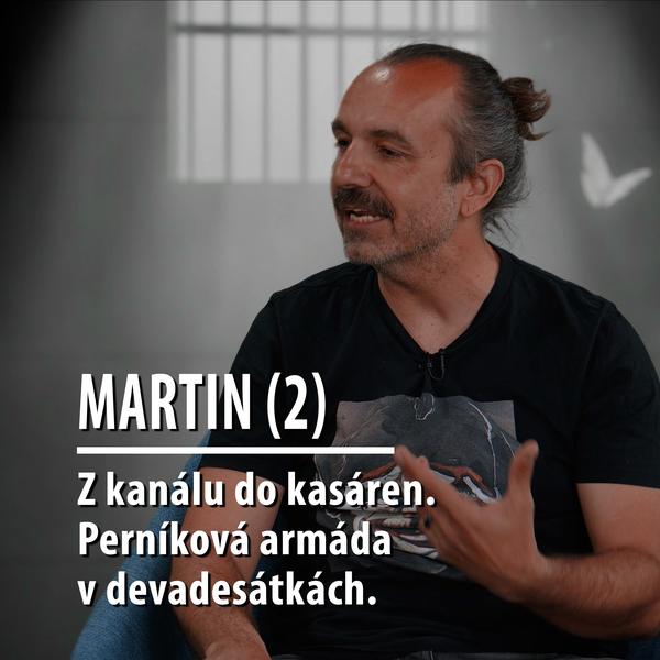 Motýl za katrem