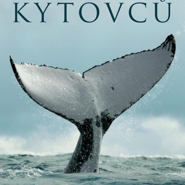 Kritiky.cz - Podcast - 2026