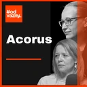 Domácí násilí nekončí odchodem – Acorus